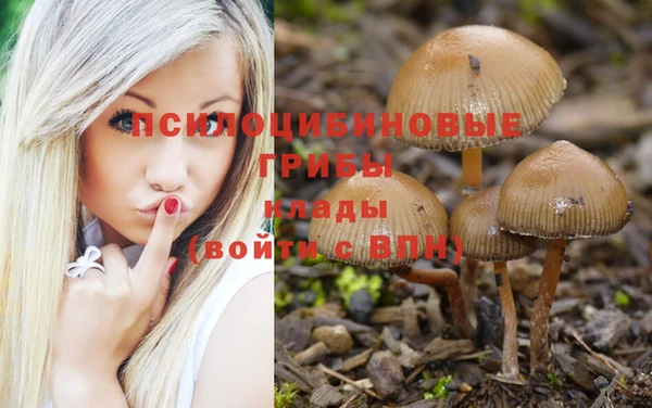 каннабис Богданович