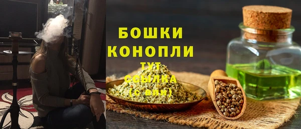 твердый Богородск