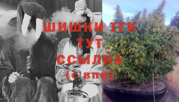 твердый Богородск