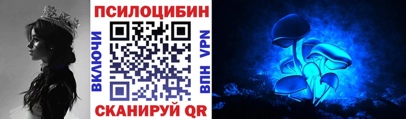 Псилоцибиновые грибы Psilocybe Воркута