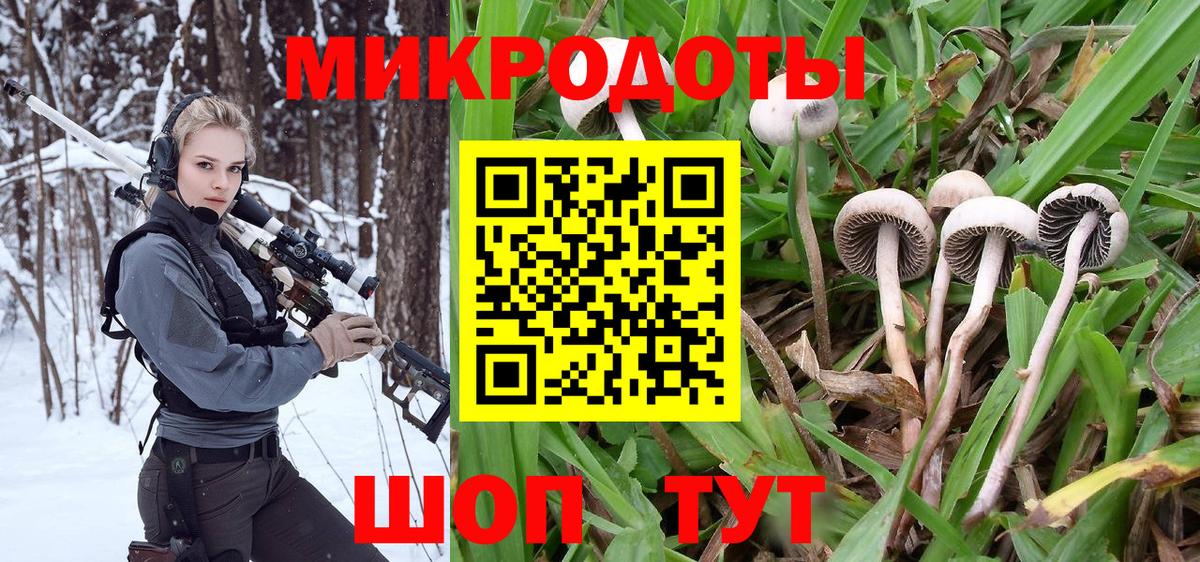 Галлюциногенные грибы Cubensis  Вход с VPN  Псилоцибиновые грибы Cubensis  Воркута 